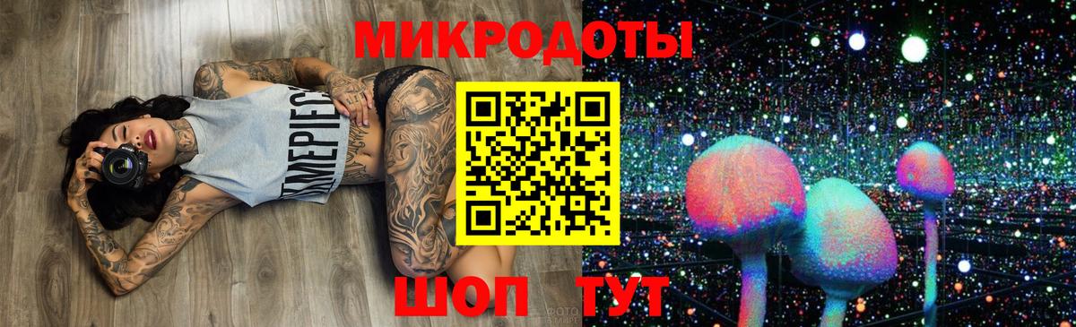 наркотики  Вход с VPN  Пугачёв  Галлюциногенные грибы Cubensis 